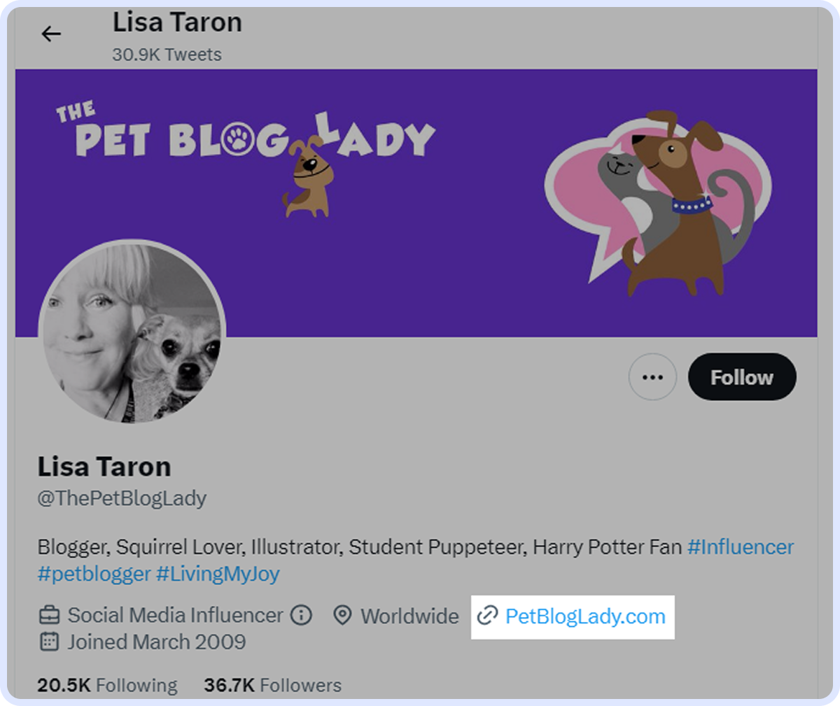 Twitter profile of Lisa Taron (ThePetBlogLady) with 36.7K followers, pet blog banner, and bio listing blogger, illustrator, and social media influencer